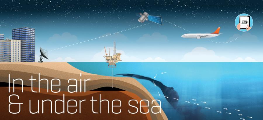 In the Air & Under the Sea