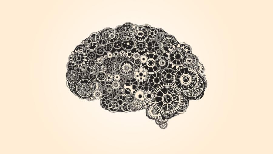 Robotics That Mimic The Brain